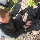 dzieci-sadza-rosliny