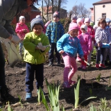 dzieci-sadza-rosliny