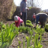 dzieci-sadza-rosliny