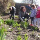 dzieci-sadza-rosliny