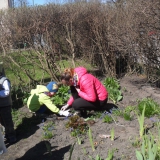 dzieci-sadza-rosliny