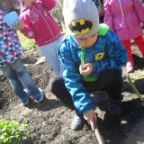 dzieci-sadza-rosliny