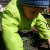 dzieci-sadza-rosliny