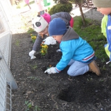 dzieci-sadza-rosliny