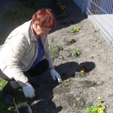 pani-wozna-sadzi-kwiaty