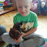 dzieci-biora-udzial-w-zajeciach-zoologicznych