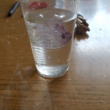zdjecie1