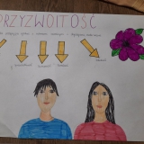 zdjecie11