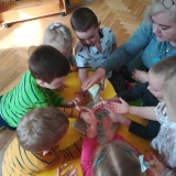 wiosna-w-grupie-elfy