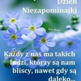 kwiaty