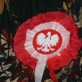 zdjecie8