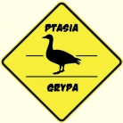 miniatura_wysoce-zjadliwa-grypa-ptakow-hpai