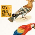miniatura_rozwin-skrzydla-z-moim-stypendium