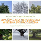 miniatura_konkurs-europejskiej-drzewo-roku-2021