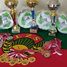 miniatura_turniej-pilkarski-o-puchar-lata-lzs