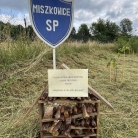 miniatura_zapylacze-to-nie-tylko-pszczoly