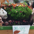 miniatura_las-jesienia