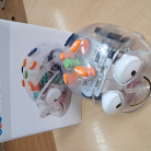 miniatura_sukces-akcji-talenciaki-mamy-robota